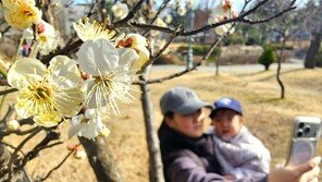 매화꽃처럼 활짝 웃어봐요