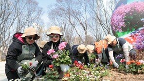 도시에 봄꽃 향기 가득 채워요