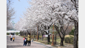 여기 안가면 후회할 수목원 베스트10