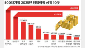 SK하이닉스, 작년 영업익 삼성 제치고 1위…반도체 투톱 61.6% 증가