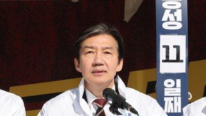 조국 “보유세 정상화 나서자…국정 지지율 높을 때 단행해야”