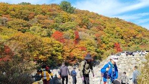 작년 외국인 205만명 국립공원 찾아…방문 1위는 ‘한라산’