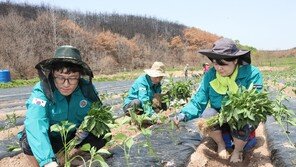 의성 ‘산불에 강한 도시’로 탈바꿈한다