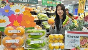 국내에서 재배한 ‘바나나-자몽-레몬’ 맛 보세요