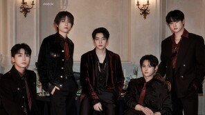 DKZ, 팬들 배고프지 않게…역대급 팬콘서트 개최