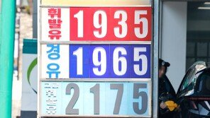 “출근하지 말고 기름 아껴라”…석유 대란에 각국 ‘재택근무’ 시행
