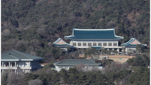 靑, 李대통령 프로야구 개막전 시구설에 “사실무근”