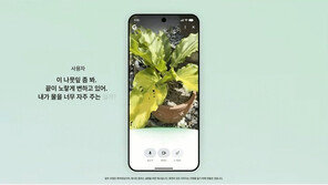 카메라로 비추고 AI에 질문…구글 ‘서치 라이브’ 전세계 도입