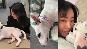 ‘동물학대’ 여론…이혜영, 메이크업 없는 반려견 재공개