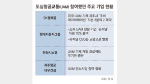 “에어택시 돈 안되고 규제 많아”… 도심항공교통서 손떼는 기업들