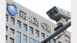 ‘회계 부정’ 주도한 회사 관계자, 임원 선임 제한
