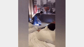잠자던 여자친구 목 위로 코브라가 스르륵…태국 끄라비 호텔서 봉변