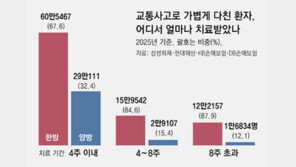 車보험 ‘8주룰’ 연기에 논쟁 재점화