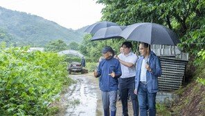 쌀 소비 돕고 일손 지원… 농촌 중심 ‘현장형 상생 금융’ 확대