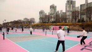 테니스와 탁구 합친 ‘피클볼’ 코트 개장