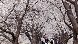 전국 흐리고 오전까지 ‘봄비’…낮 최고 21도 ‘포근’