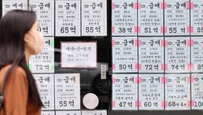 ‘대출 규제 9개월’ 서울 아파트값 11% 상승…경기도 풍선효과