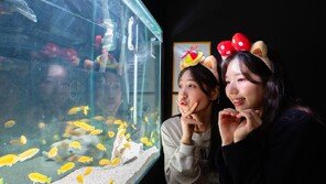 “롯데월드 ‘포토스트리트’서 인생샷”