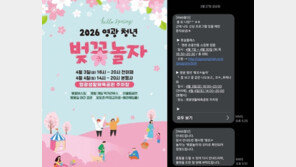 ‘벚꼬ㅊ놀자’, ‘꼬ㅊ…추제’…영광군, 벚꽃축제 홍보 문자 논란