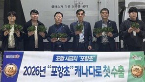 ‘K시금치’ 포항초, 캐나다 식탁에 오른다