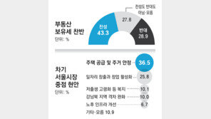 ‘보유세 인상’ 서울시민 찬성 43.3%-반대 28.9%