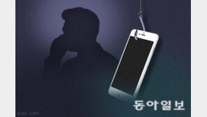 보이스피싱 등 ‘자금세탁’ 양형기준 신설… 피해 클수록 가중처벌
