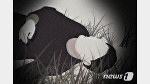 “이상한 냄새 난다” 김포서 50대 남성 숨진 채 발견…부검 의뢰