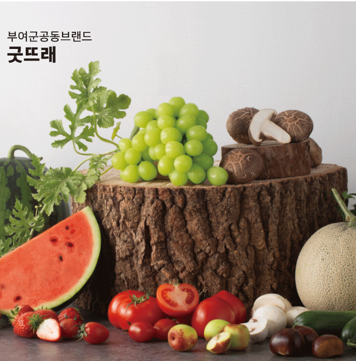 15년 연속 공동브랜드부문 대상 수상