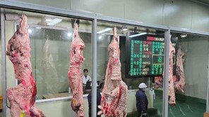 홍성한우, 홍콩 수출 본격화…글로벌 시장 공략 나서