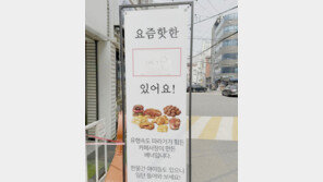 “요즘 핫한 OOO 있어요” 유행에 지친 사장님의 선택