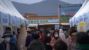 식목의 계절에 묘목 중심지 옥천으로 오세요