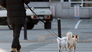 반려동물 동반 음식점, 제도 시행 한달만에 1300곳 넘어