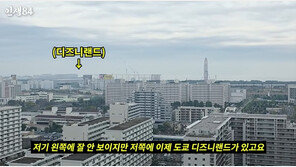 강남♥이상화, 日 아파트 공개…기안84 “디즈니랜드·후지산 보여”