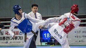 태권도 서건우, 아이치·나고야 AG 1차 선발전 남자 80㎏급 우승