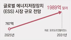 美 ESS 사업장 찾은 구광모 “시장 선도 압도적 지위 구축해야”