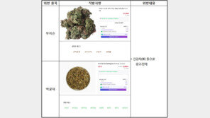 ‘건강차’라고 해서 마셨는데…‘이 식물’ 알고보니 식용 금지