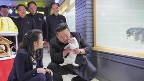 강아지 안은 김정은, 고양이 쓰다듬은 주애…北 상업시설 시찰한 金부녀, 여가소비 과시