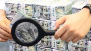 환율 방어하다 40억달러 증발…외환보유액 10위권서 밀려났다