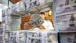 韓외환보유액 세계순위 10→12위로 하락… 더 떨어질수도