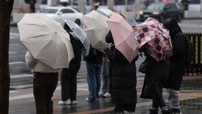 “벚꽃 한창인데” 전국 대부분 비·강풍…제주 호우특보 가능성