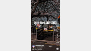 부산 벚꽃 명소 갔더니 드라마 촬영으로 통제 ‘시끌’
