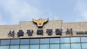 새벽 골목길 여성 노린 60대 긴급체포…경찰, 구속영장 신청