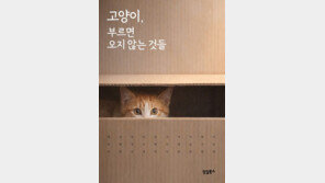해방촌 ‘거리 집사’ 황인숙…고양이로 풀어낸 돌봄의 이야기