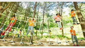 [양천구]신정-용왕산 등 유아숲체험원 6곳 운영