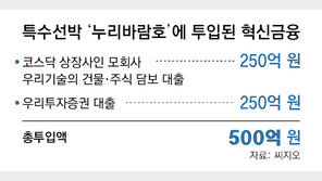 [단독]대출 번번이 퇴짜맞던 누리바람호, ‘혁신금융’ 250억이 띄웠다