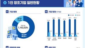‘1인 창조기업’ 116만개 넘어서…전자상거래가 28%