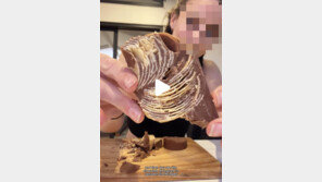 두쫀쿠 봄동 버터떡 가고…‘단짠 끝판왕’ 초코프링글스 화제