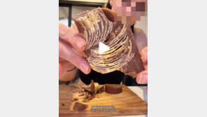 두쫀쿠 봄동 버터떡 가고…‘단짠 끝판왕’ 초코프링글스 화제