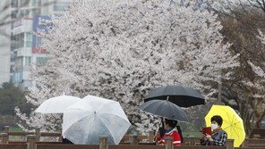 내일 영하 1도 ‘꽃샘추위’ 덮친다…황사 유입에 미세먼지 나쁨