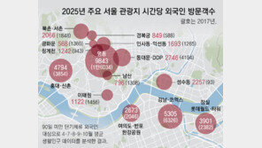 [단독]“한국 일상체험” 관광객 ‘핫플’된 청계천-한강공원